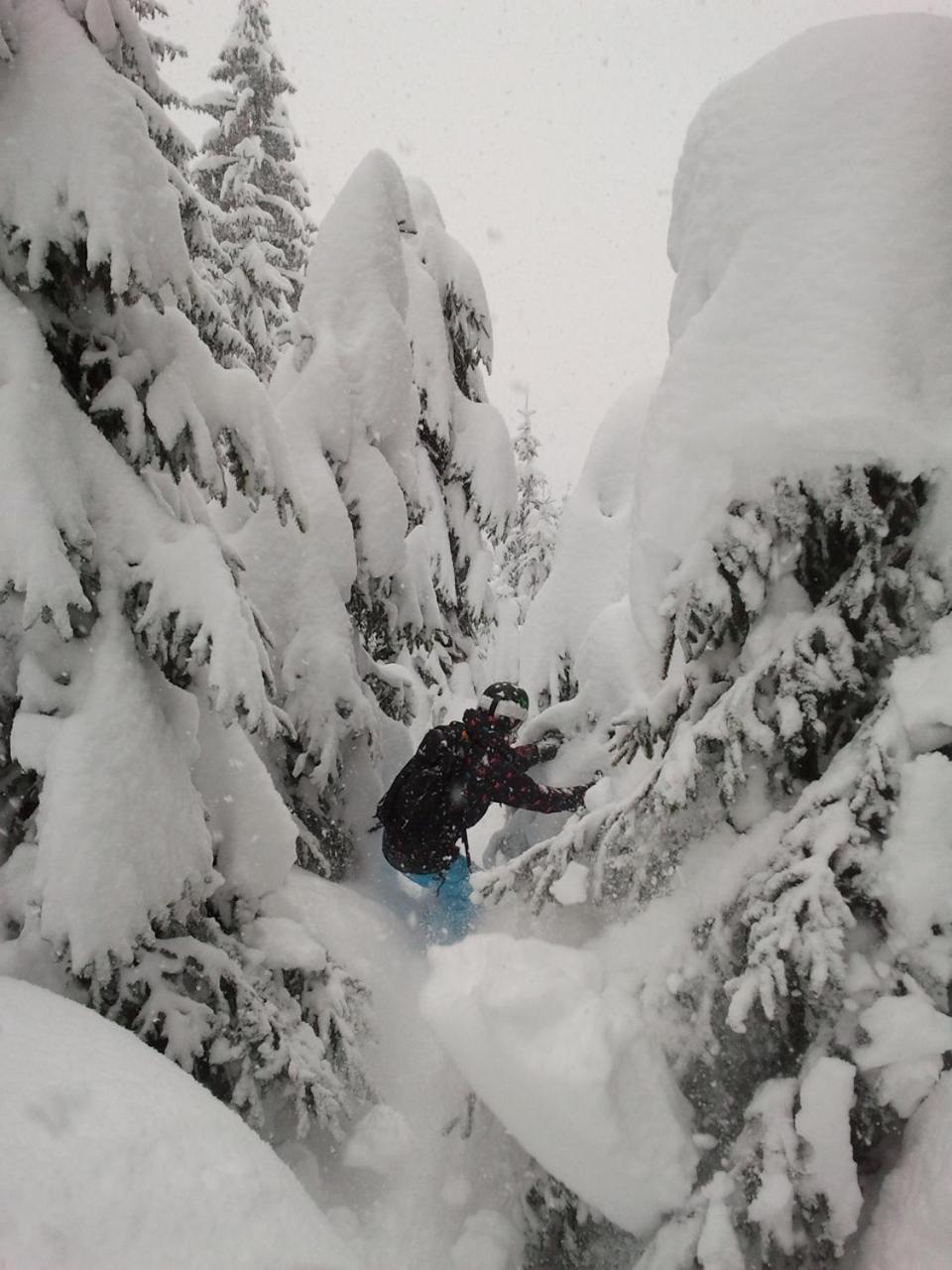 Alpenferienwohnung Strickner Neustift im Stubaital Zewnętrze zdjęcie